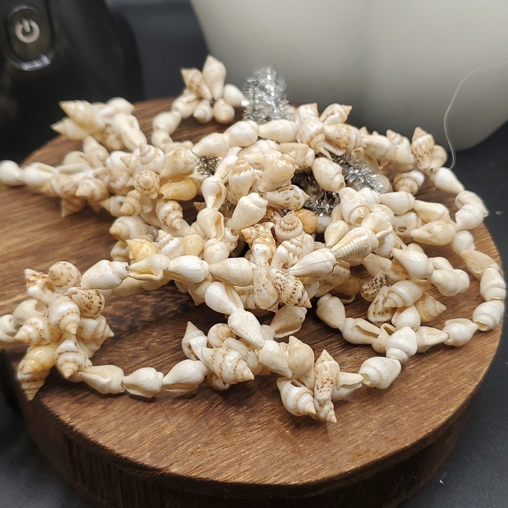 Seashell bushel jewlery crafters delight authentic shells beachy bohemian